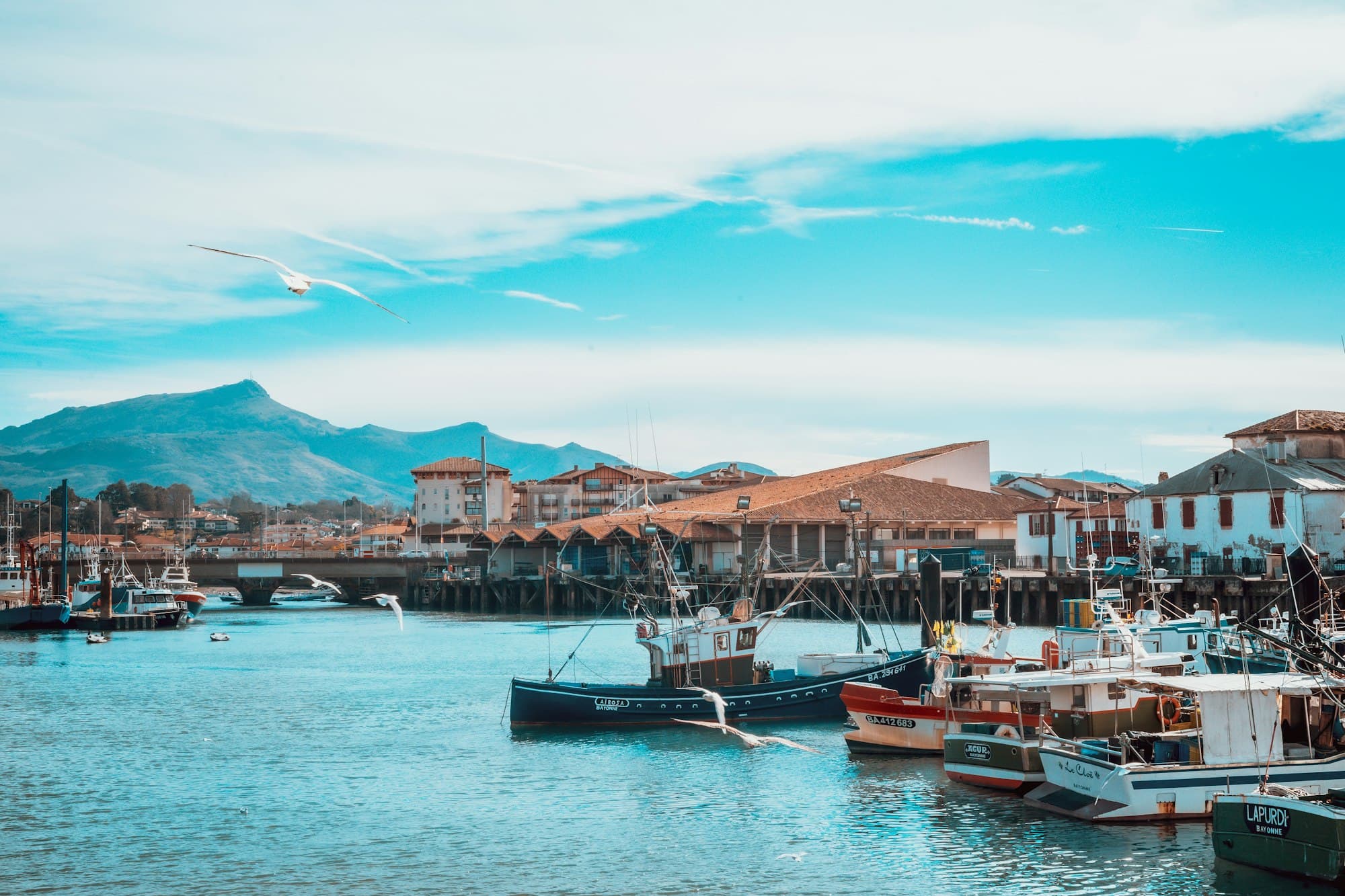 Port de Saint-Jean-de-Luz et Pyrénées en arrière-plan, côte basque