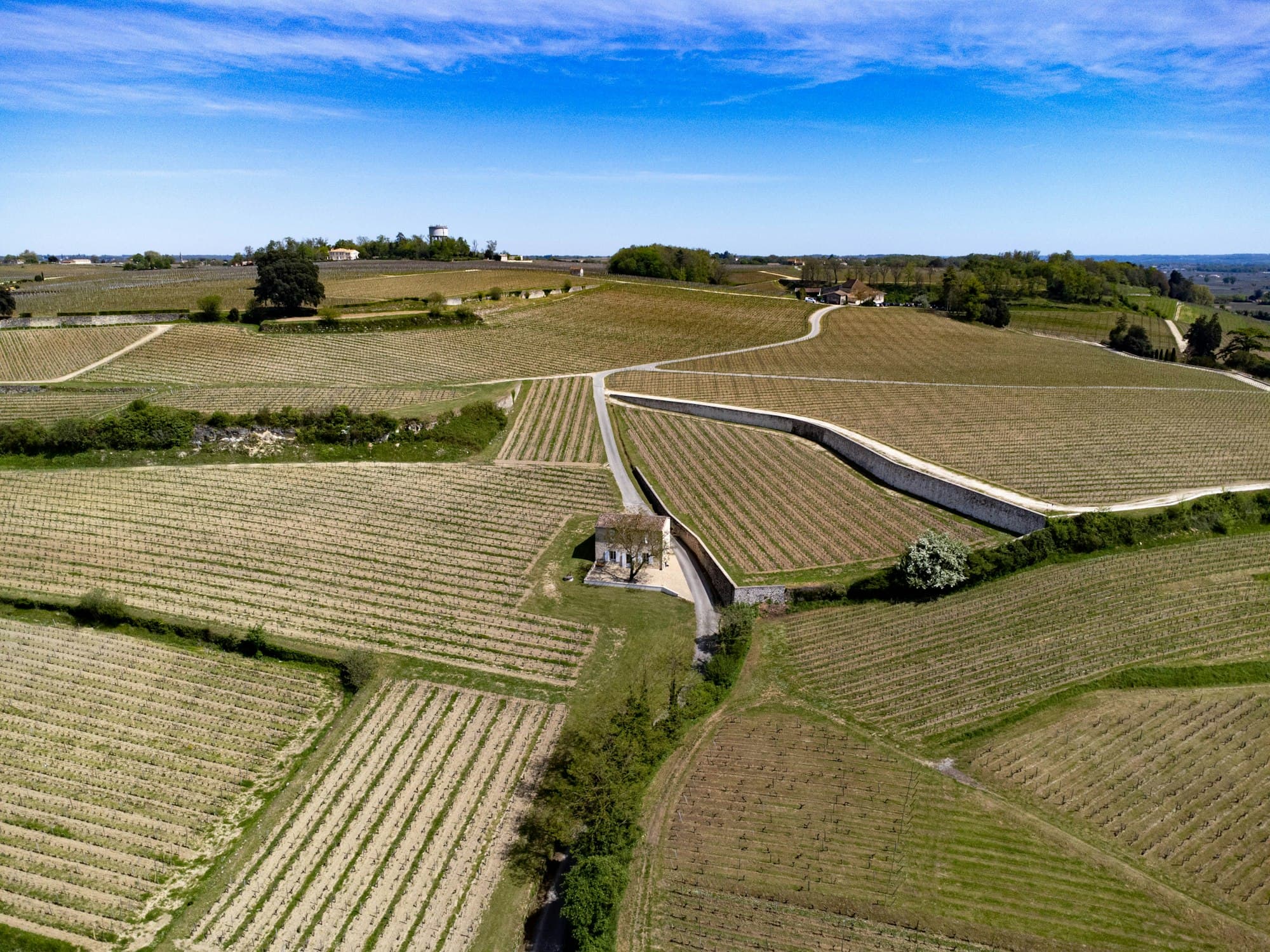 Paysage rural et viticole pour une estimation immobilière à Moulis-en-Médoc